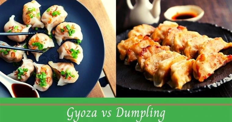 Gyoza vs dumpling