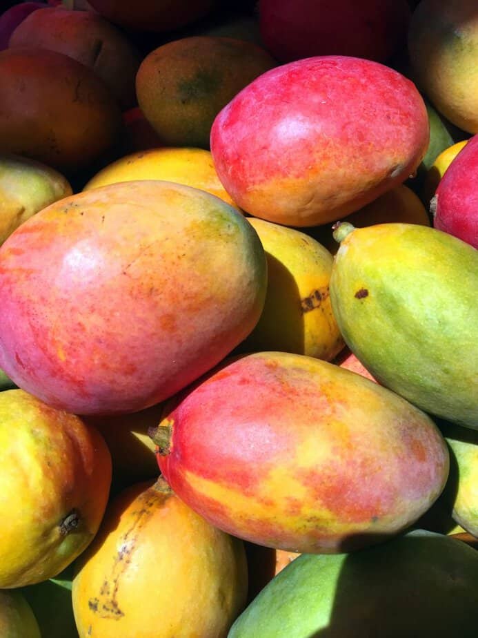 When Are Mangoes in Season